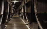 Встреча, лавандовые поля, Инкерманский завод марочных вин