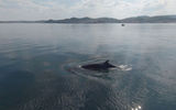 Териберка, край земли и морская прогулка с поиском китов