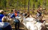 Экскурсия в саамскую деревню