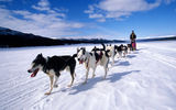 На снегоходах и собачьих упряжках по Байкалу