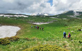 Маршрут по территории Кавказского биосферного заповедника, восхождение на вершину г. Оштен