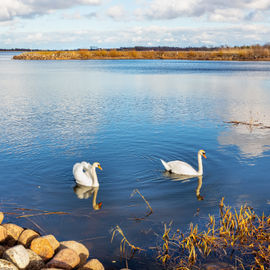 Отдых на Чудском озере и экскурсии по окрестностям Пскова