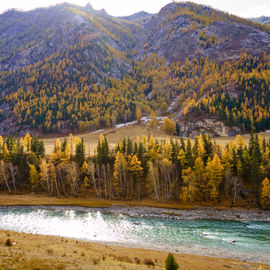 Осенний премиум-тур на Алтай