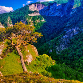 Ущелья и водопады Адыгеи. Осенний тур выходного дня