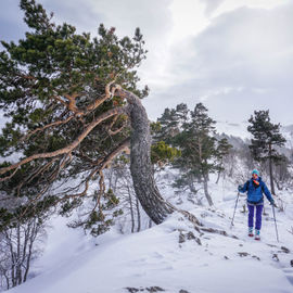 Скандинавское путешествие в Адыгею. Зима