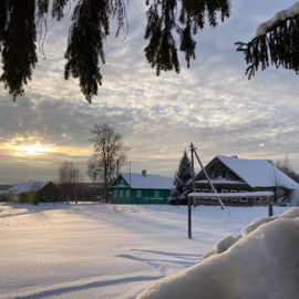 Зимние сказки Вепсского леса. Тур по Ленобласти на 2 дня