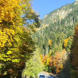 Золотая осень в горах Кавказа