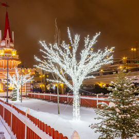 Волшебство Рождества в Казани. Расширенная программа