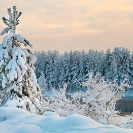 Снежные каникулы в Карелии 