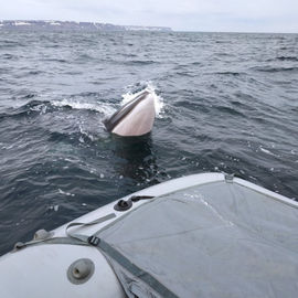 Дыхание северного моря: Териберка и морская прогулка к китам
