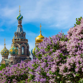 Невская коллекция с Великим Новгородом 