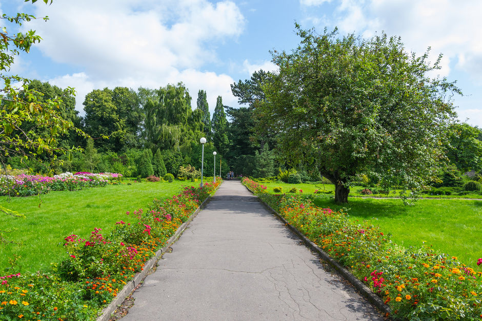Ботанический сад в Калининграде