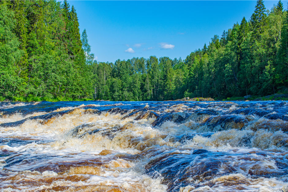 Река в Карелии