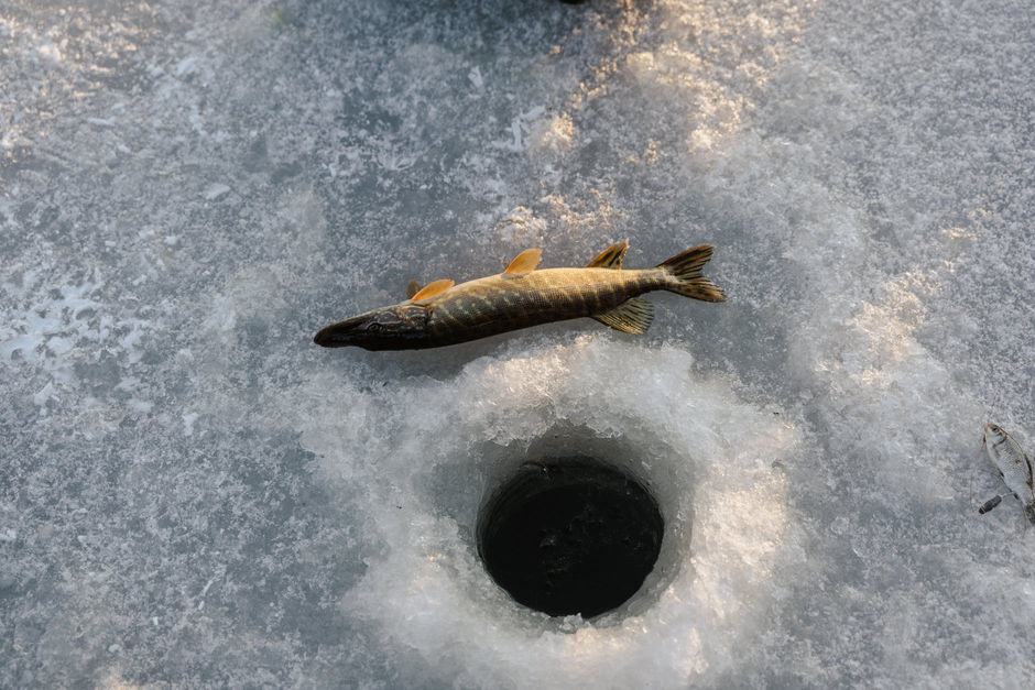 зимняя рыбалка карелия