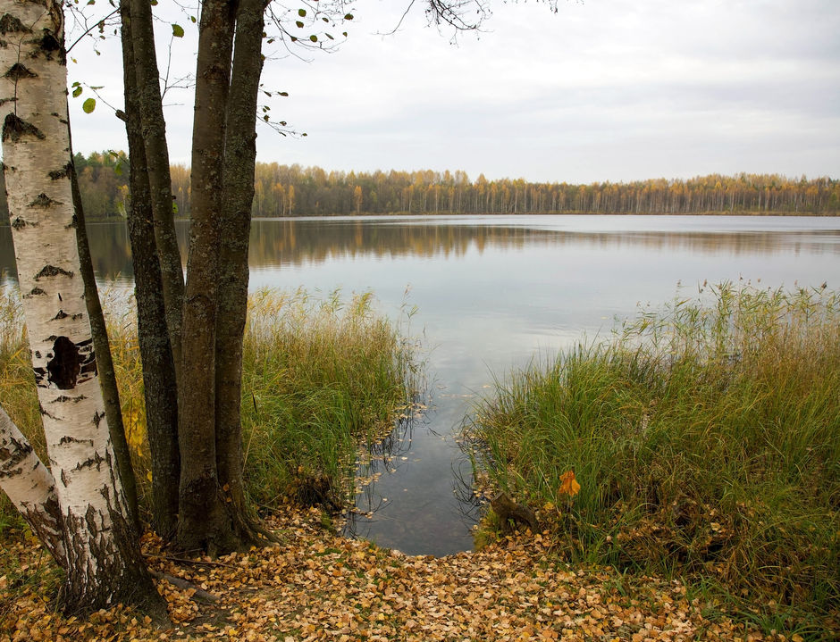 Осенний пейзаж на озере Светлояр