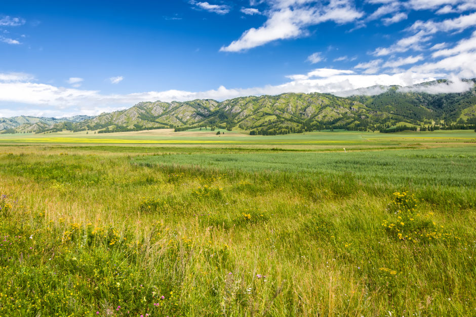 Панорамный вид на Алтайские горы