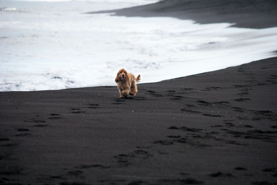 Черный песок Халактырского пляжа